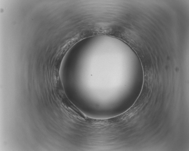 X0000059101058200510172114