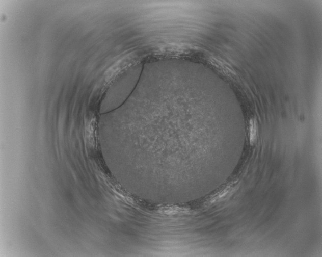 X0000059101059200510172114