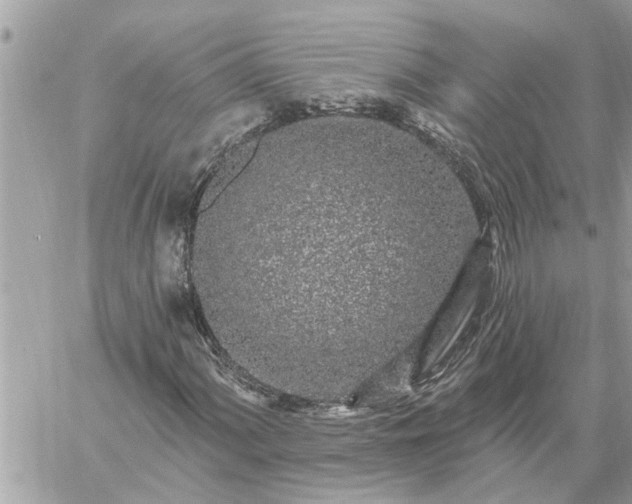 X0000059101060200510172114