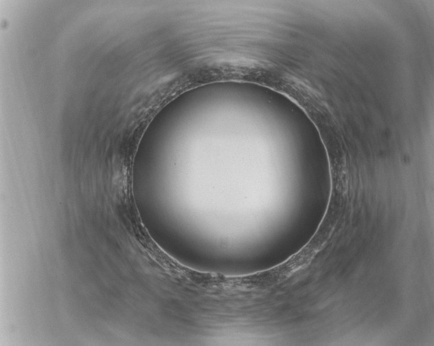 X0000059101061200510172114