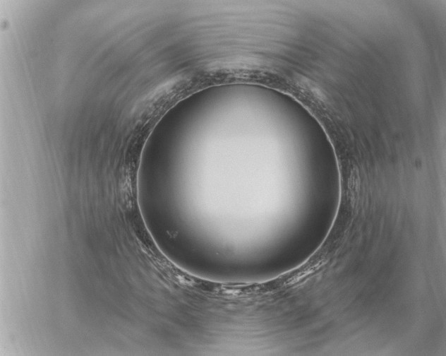 X0000059101062200510172114