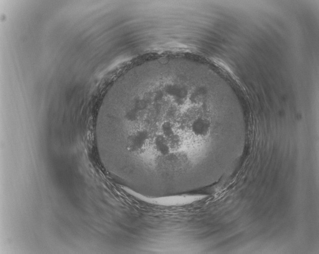 X0000059101063200510172114