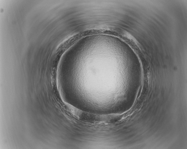 X0000059101064200510172114