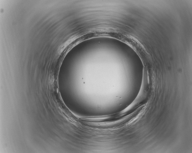 X0000059101065200510172114