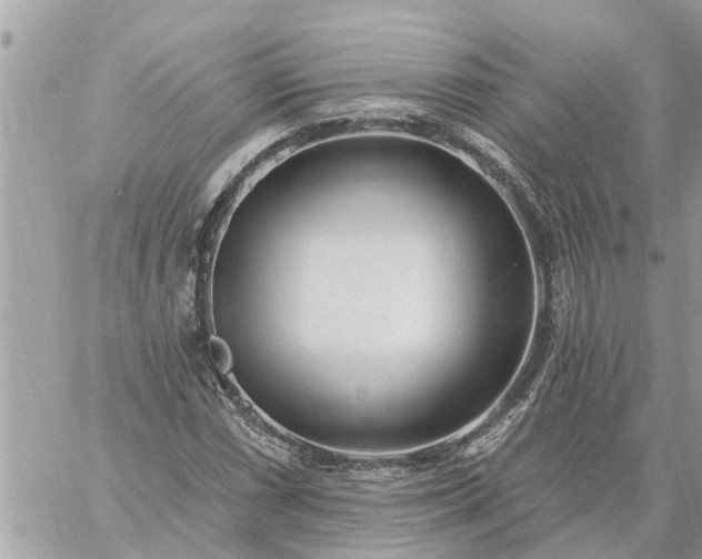 X0000059101066200510172114