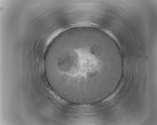 X0000059101067200510172114