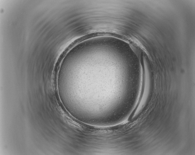 X0000059101068200510172114