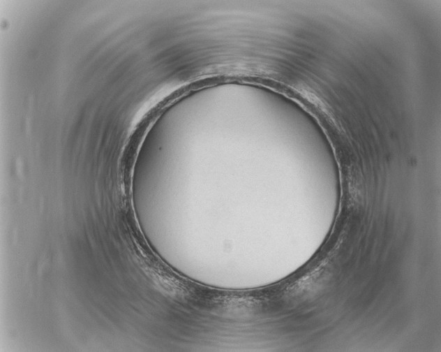 X0000059101070200510172114