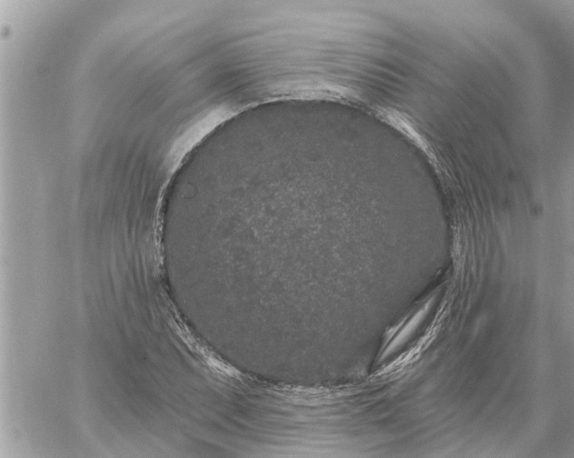 X0000059101071200510172114