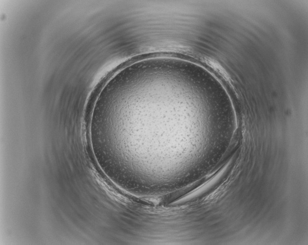 X0000059101072200510172114