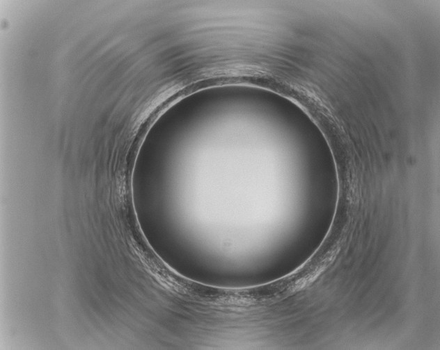 X0000059101073200510172114