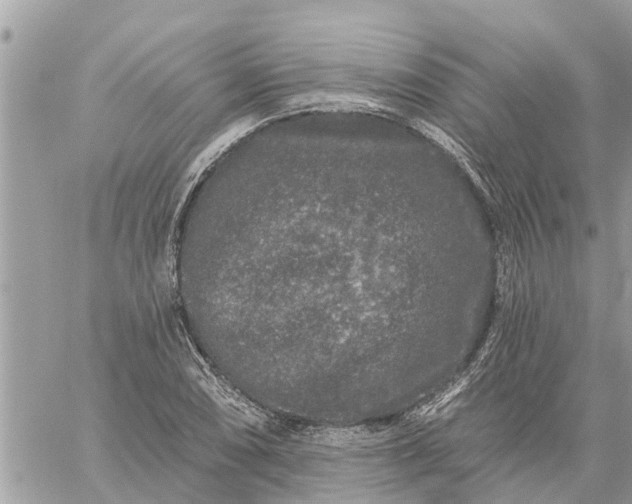 X0000059101074200510172114