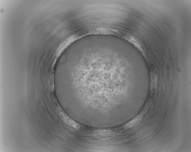 X0000059101075200510172114