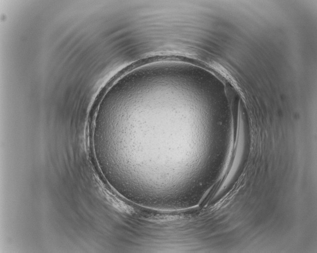 X0000059101076200510172114