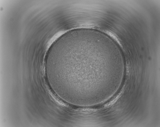 X0000059101077200510172114