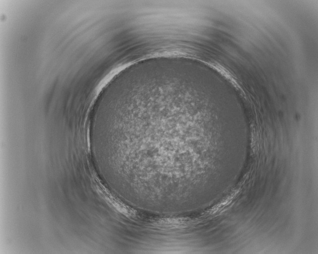 X0000059101078200510172114