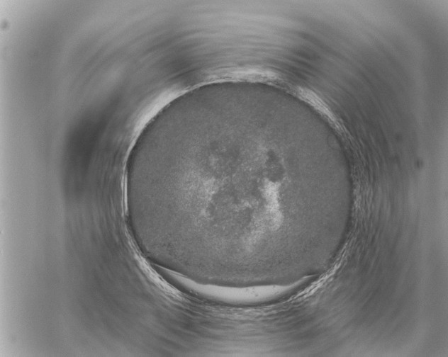 X0000059101079200510172114