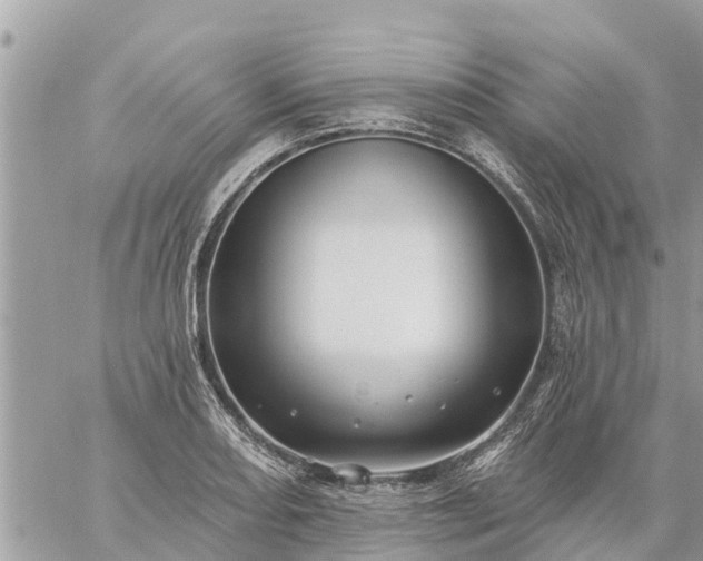 X0000059101082200510172114