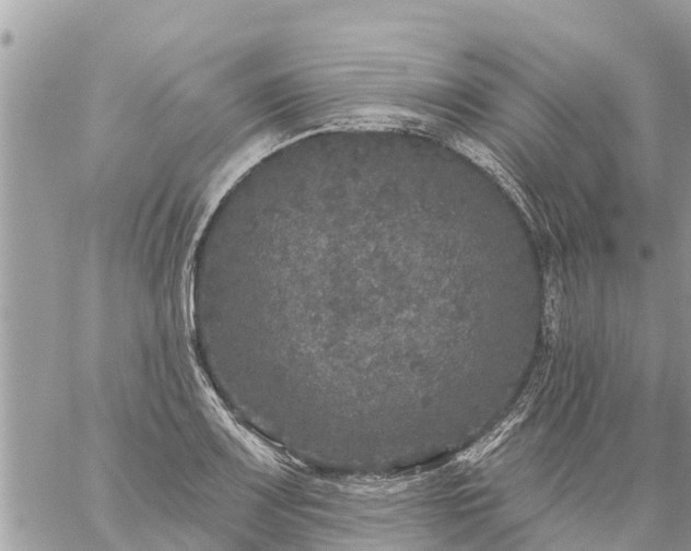 X0000059101083200510172114