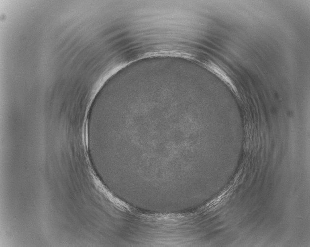 X0000059101084200510172114