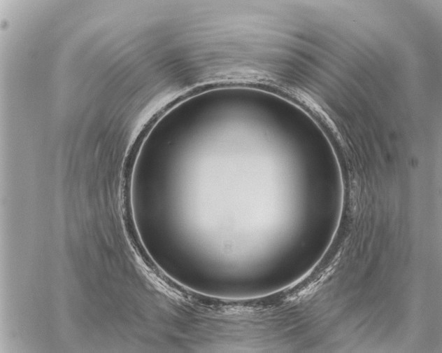 X0000059101085200510172114