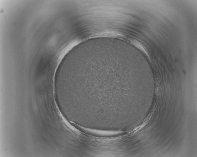 X0000059101087200510172114