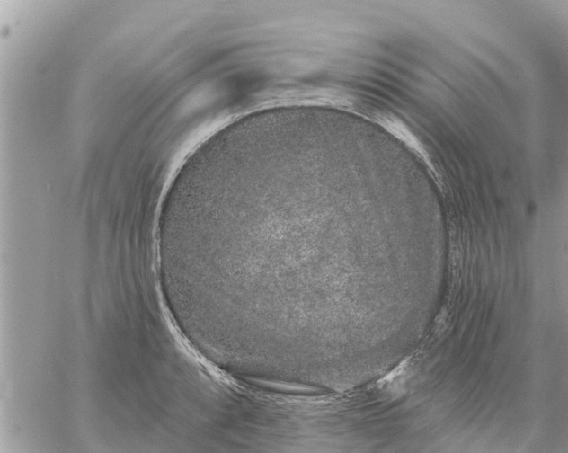 X0000059101088200510172114