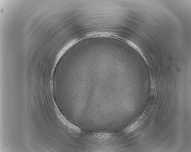 X0000059101090200510172114