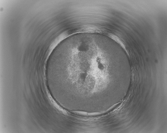 X0000059101091200510172114