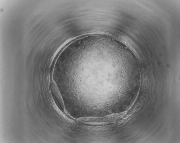 X0000059101092200510172114