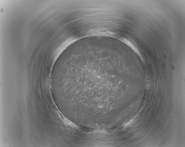 X0000059101094200510172114