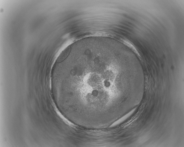 X0000059101095200510172114