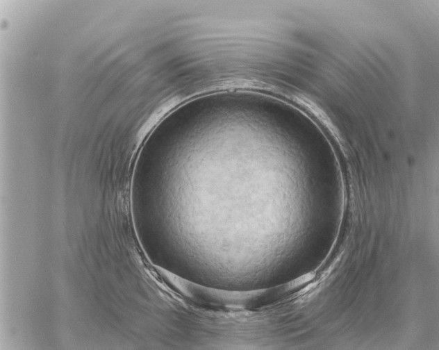 X0000059101097200510172114