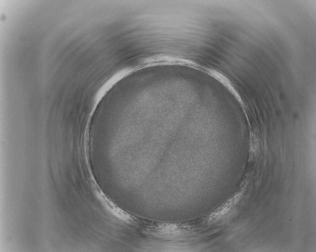 X0000059101098200510172113