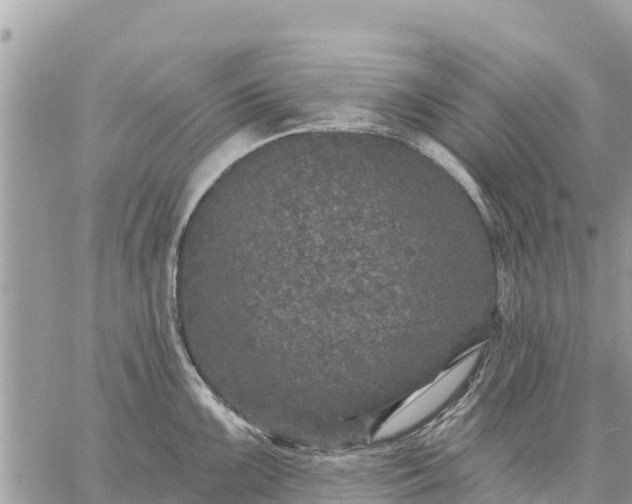 X0000059101099200510172113