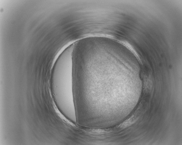 X0000059101100200510172113