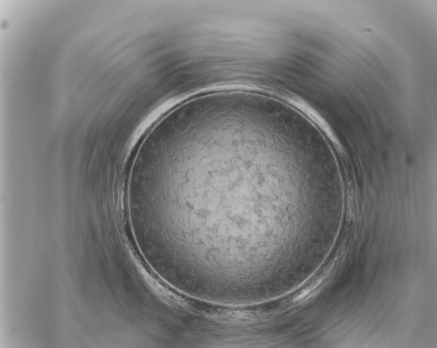 X0000059101101200510172113