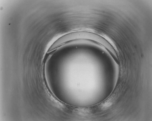 X0000059101102200510172113