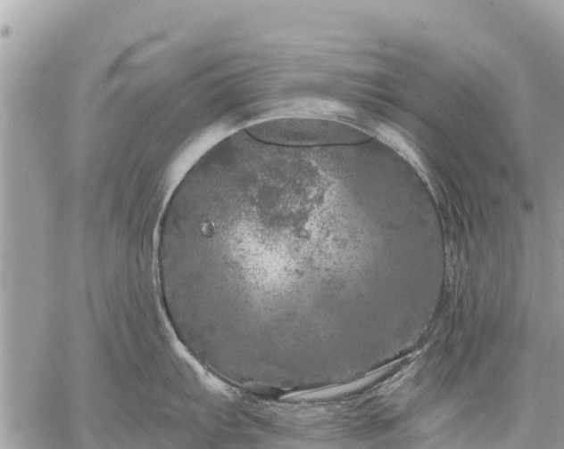 X0000059101103200510172113