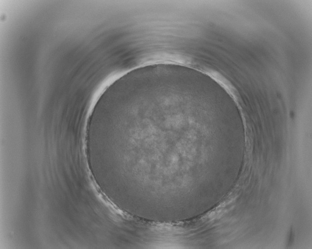 X0000059101104200510172113