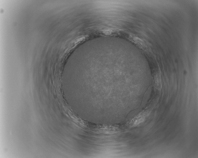 X0000059101105200510172113