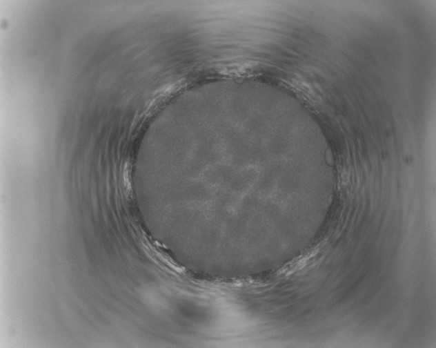 X0000059101106200510172113