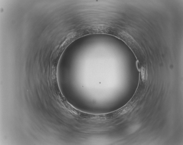 X0000059101107200510172113