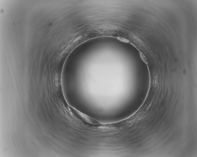 X0000059101108200510172113