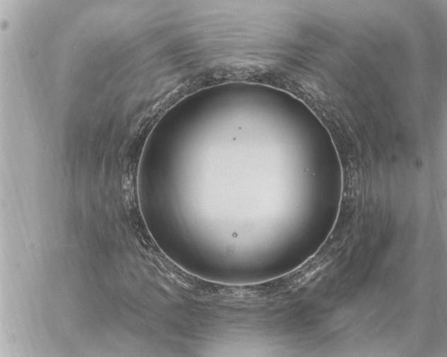 X0000059101109200510172113