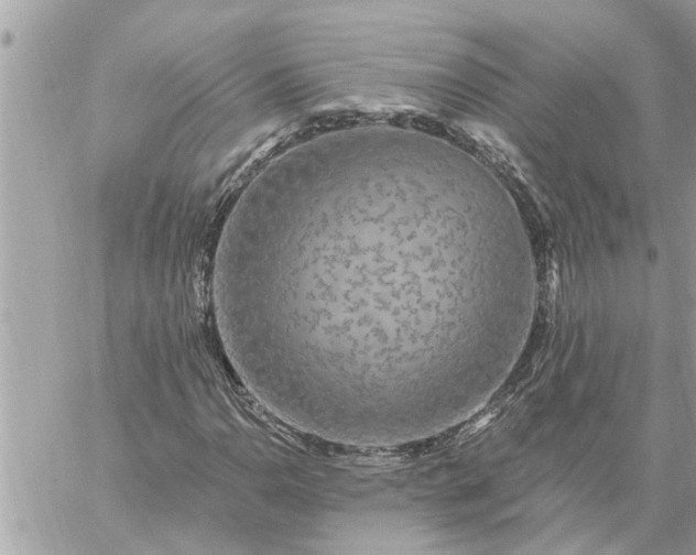 X0000059101110200510172113