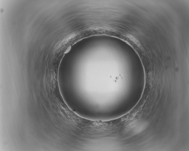 X0000059101111200510172113