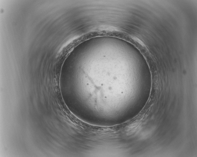 X0000059101112200510172113