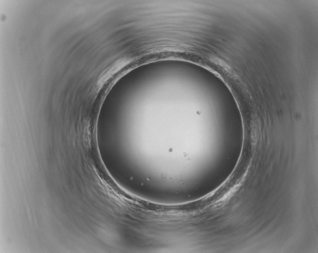 X0000059101113200510172113