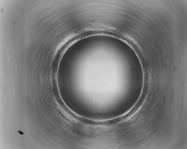 X0000059101114200510172113